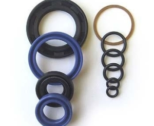 Bộ phớt ben nâng hạ  (94219-00028) Mitsubishi