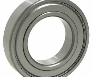 BẠC ĐẠN INOX SS6205-ZZ