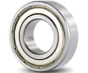 BẠC ĐẠN INOX SS6005-ZZ