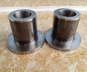 Bạc lót trục xoay bánh lái (300766) Hyster